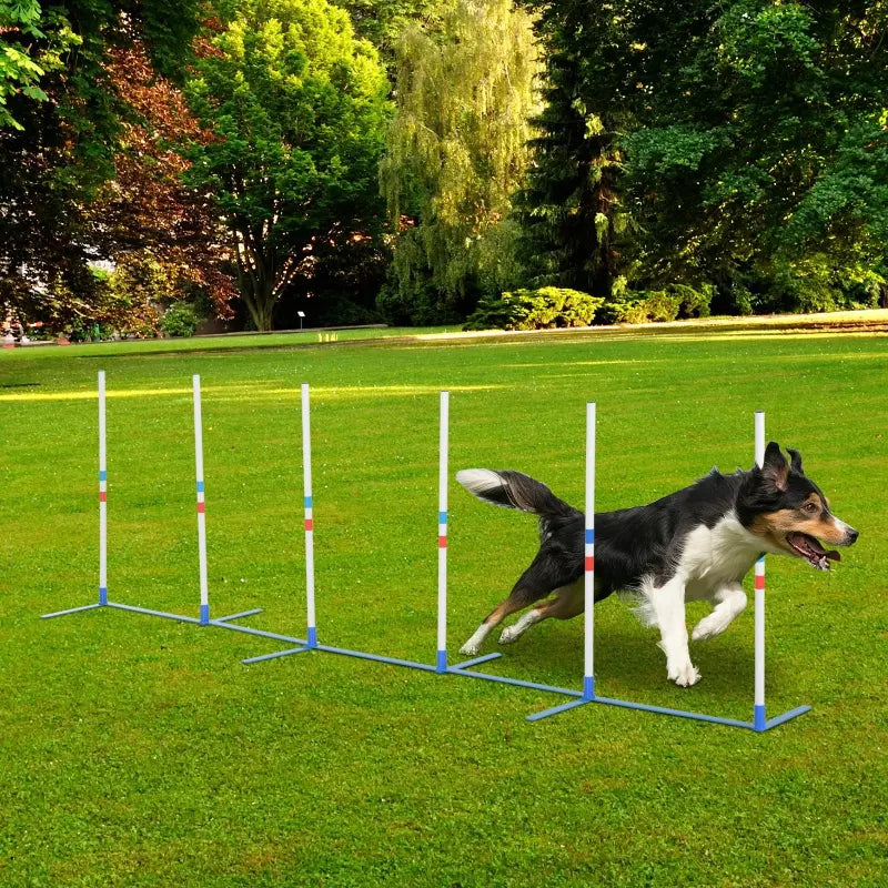 Product image of Dog Agility Weave Pole Set, 6 Poles