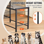 Raised Dog Feeding Station with Storage, product gallery image 2