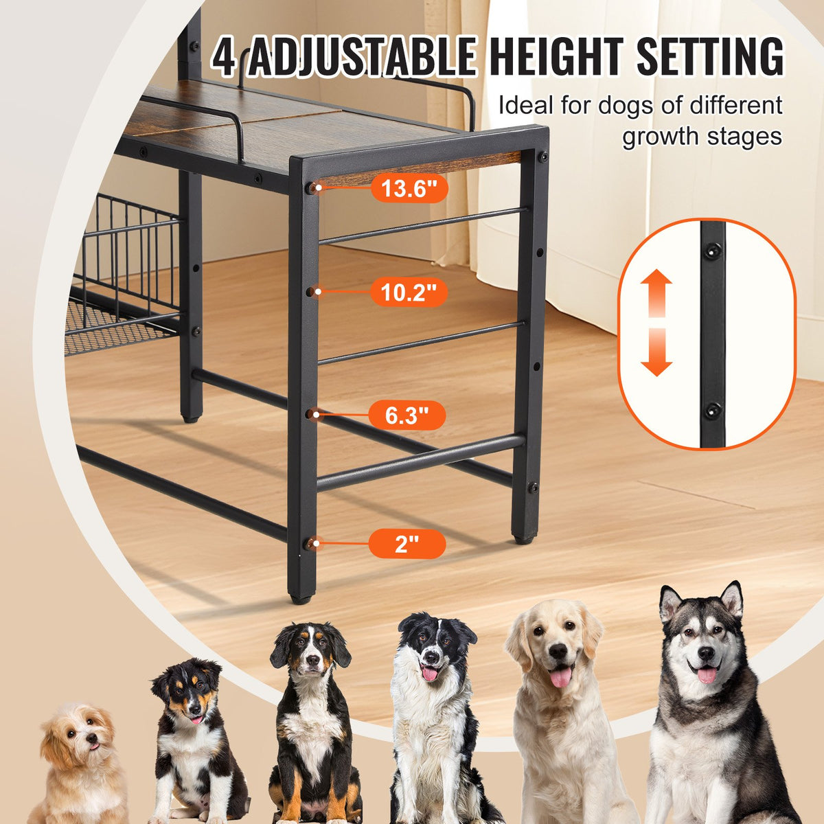 Raised Dog Feeding Station with Storage, product gallery image 2