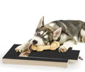 Product image of Dog Nail Scratch Board with Locking Treat Drawer