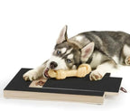 Product image of Dog Nail Scratch Board with Locking Treat Drawer