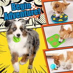 Dog Enrichment Activity Kit, product gallery image 5